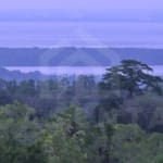 Freehold land for sale on Nusa Penida with jungle and ocean view perfect for developement