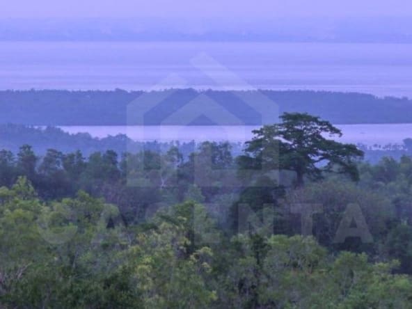 Freehold land for sale on Nusa Penida with jungle and ocean view perfect for developement