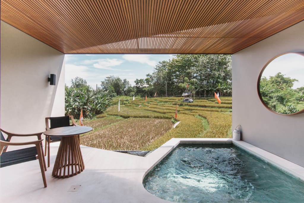 One of many villas in Bali for sale with rice field views and a plunge pool