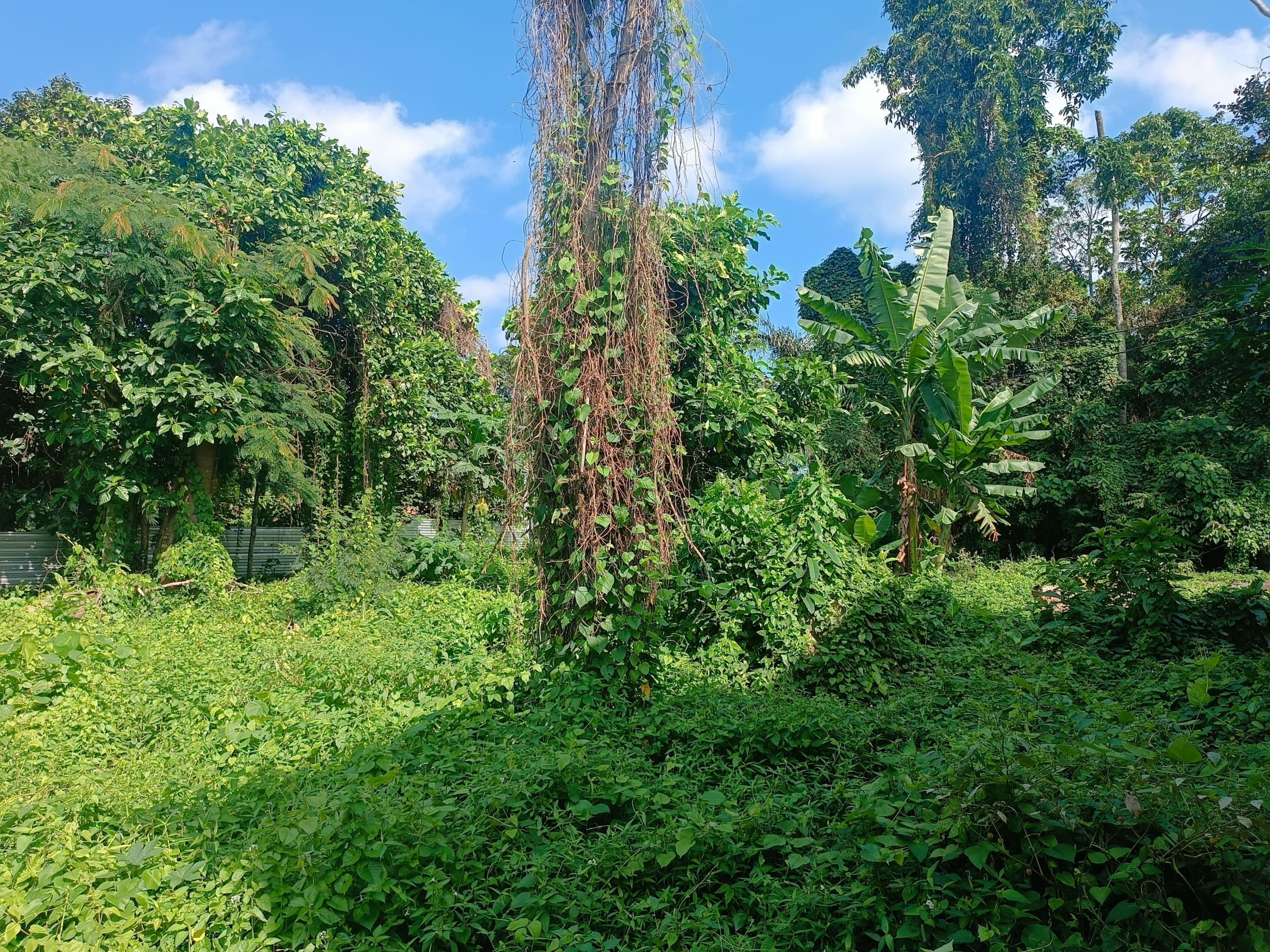 Prime leasehold land for villa or apartment development on Nyanyi riverfront