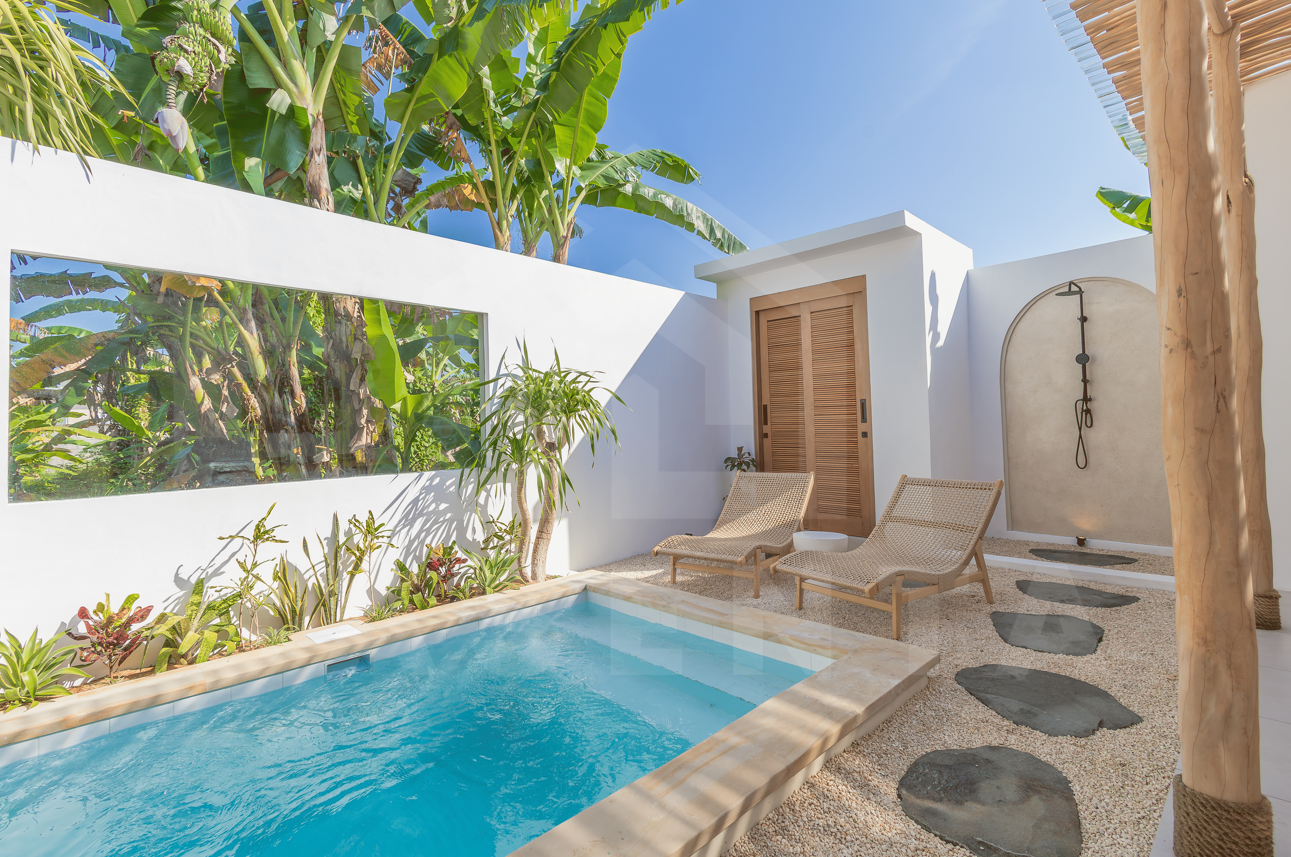 Private pool and garden in modern leasehold villa Tabanan