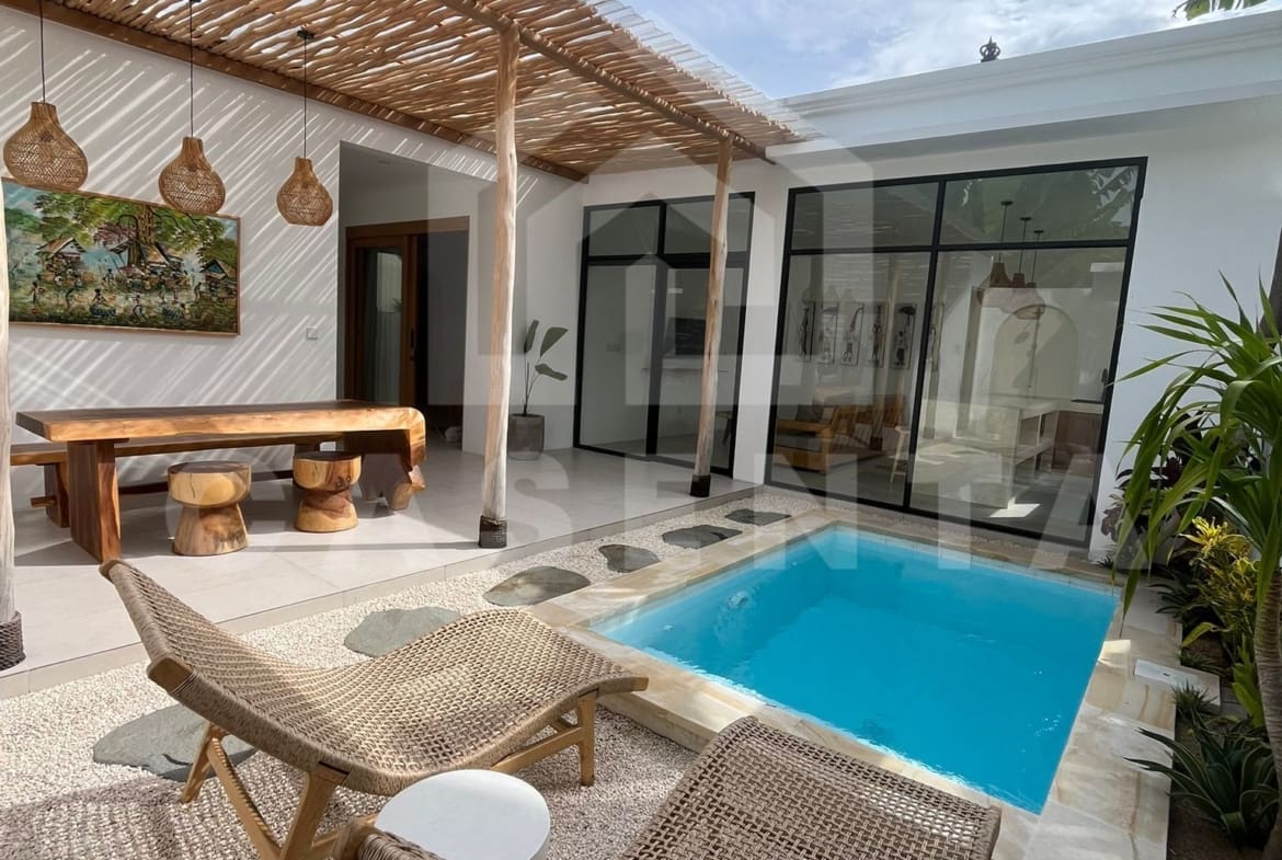 Private pool and garden in modern leasehold villa Tabanan
