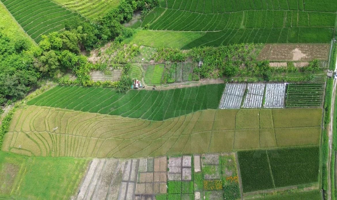 Freehold investment land in Yeh Gangga Tabanan