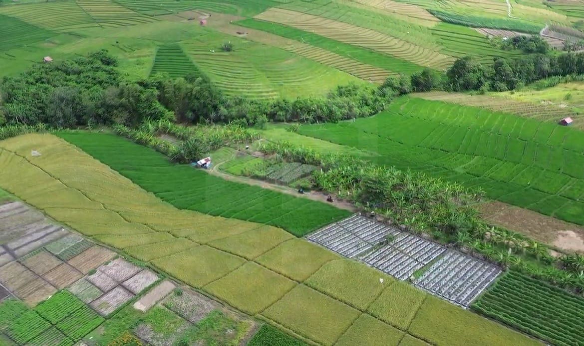 Land for development near Yeh Gangga tourism area