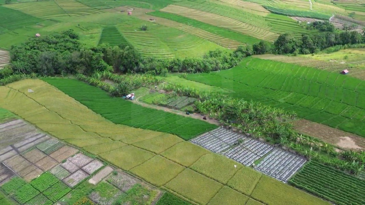 Land for development near Yeh Gangga tourism area