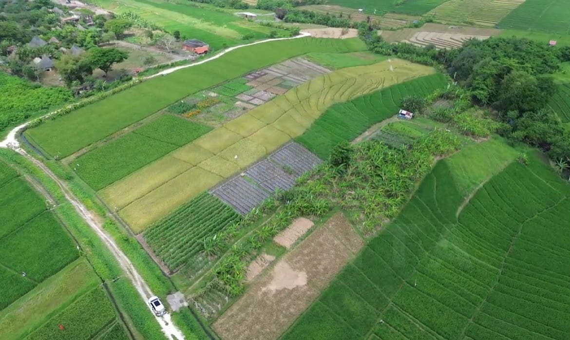 Residential land zoning in Yeh Gangga Bali