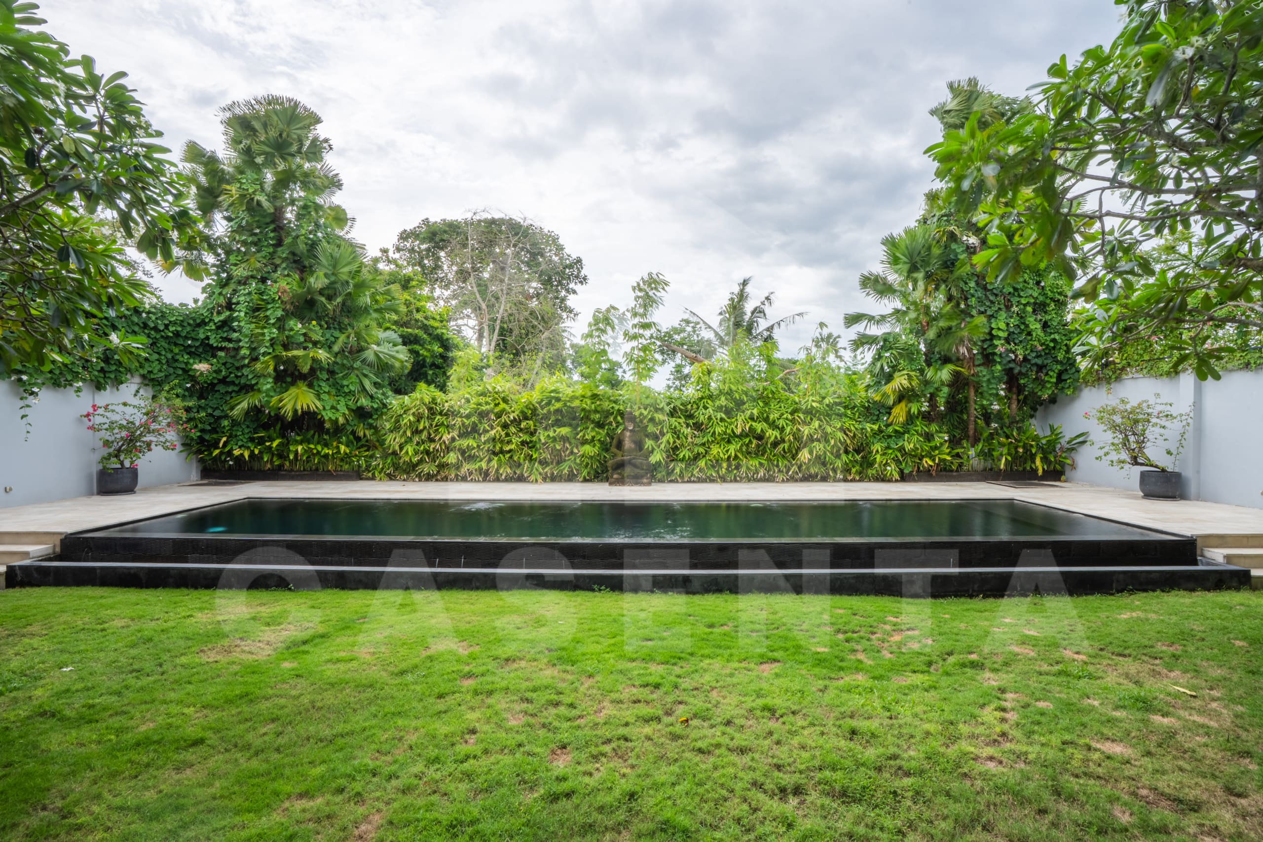 Private swimming pool and garden at modern Canggu villa