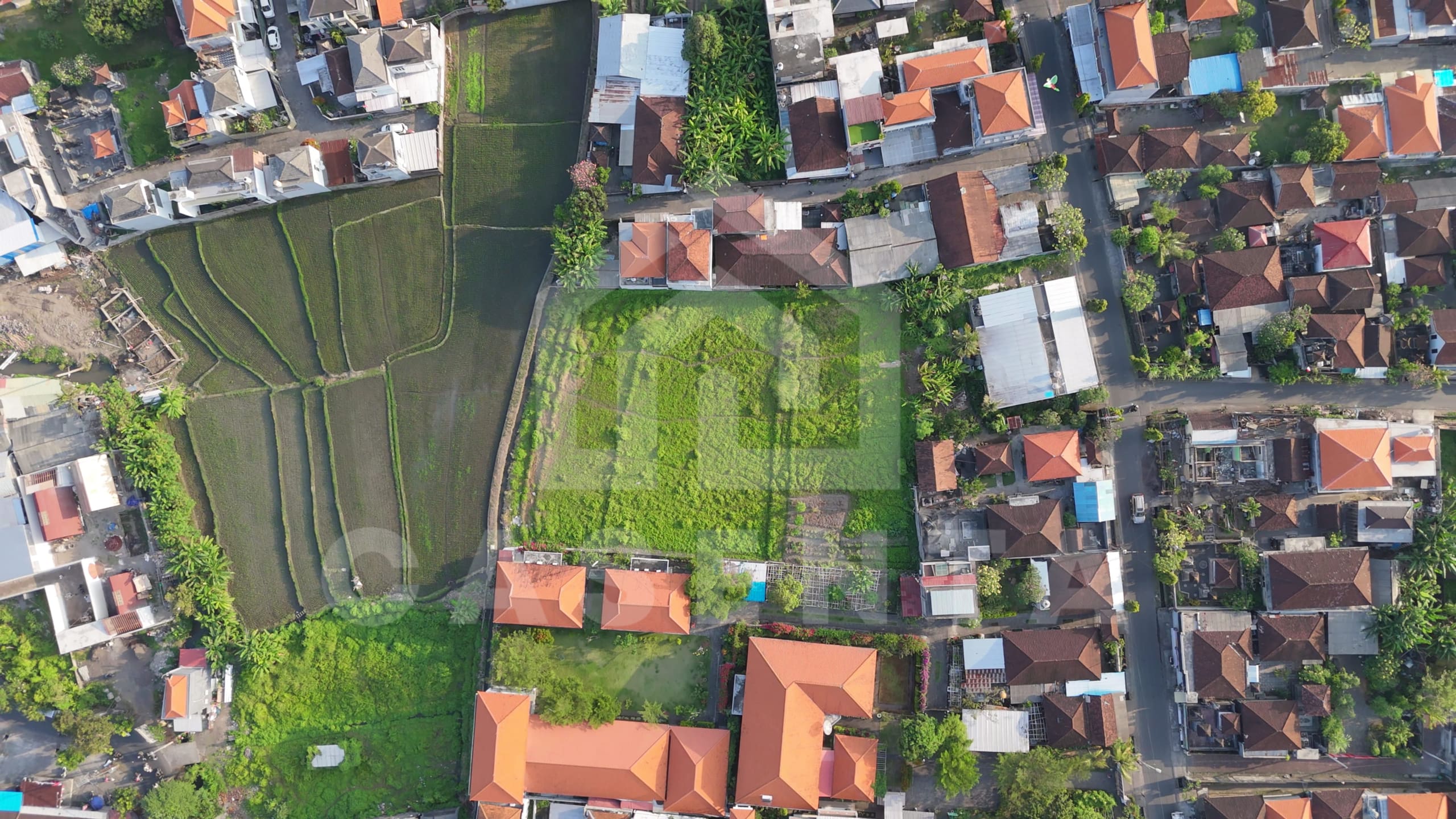 Top-down drone view of 2,000 sqm Buduk land plot