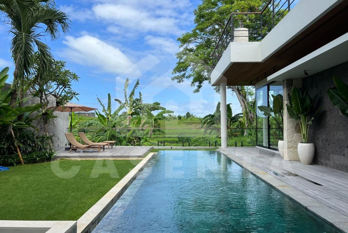 Private swimming pool at Pererenan villa with sunbeds