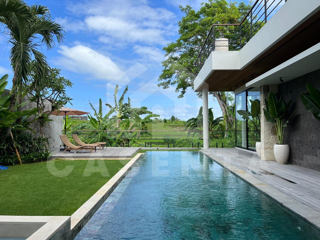 Private swimming pool at Pererenan villa with sunbeds