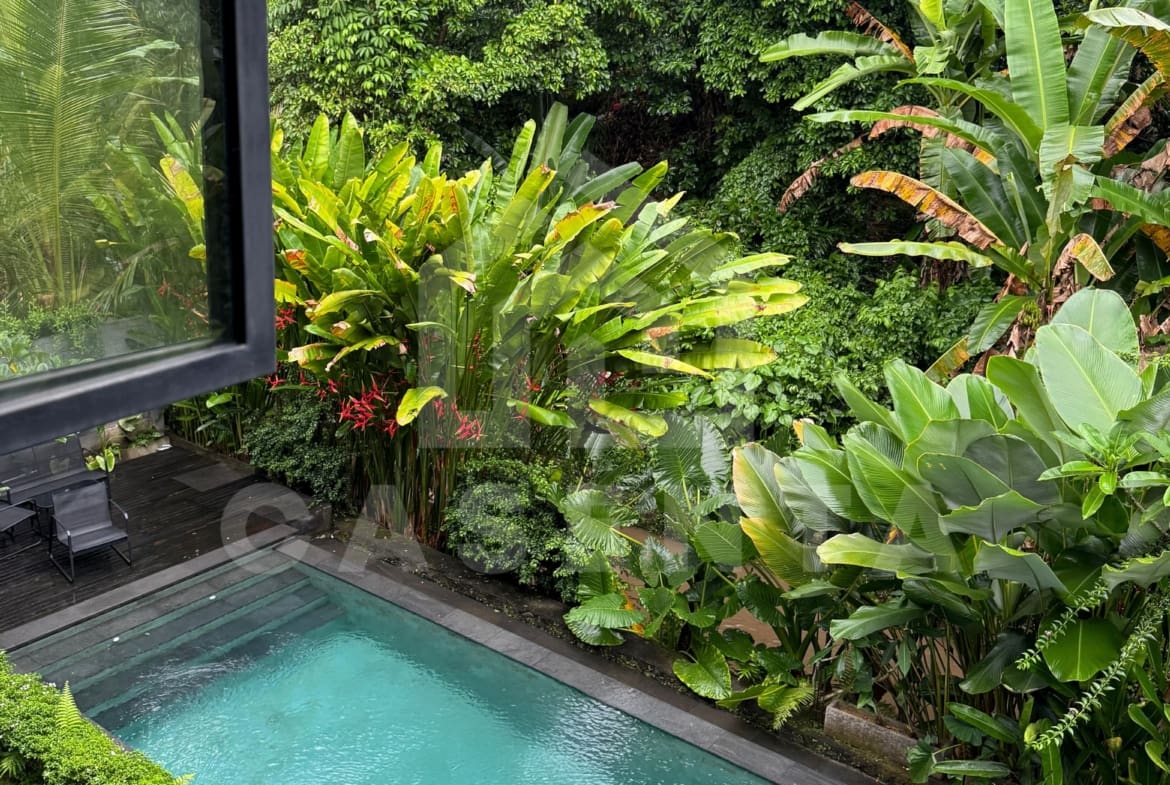 Private swimming pool at Ubud villa surrounded by tropical garden