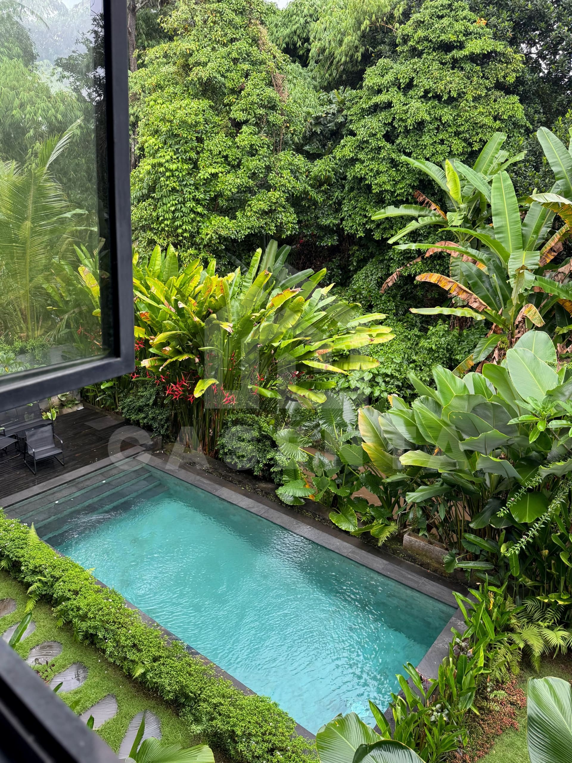 Private swimming pool at Ubud villa surrounded by tropical garden