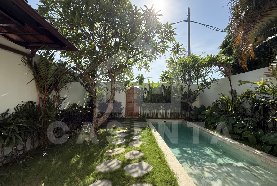 Private pool and tropical garden at modern sanur villa
