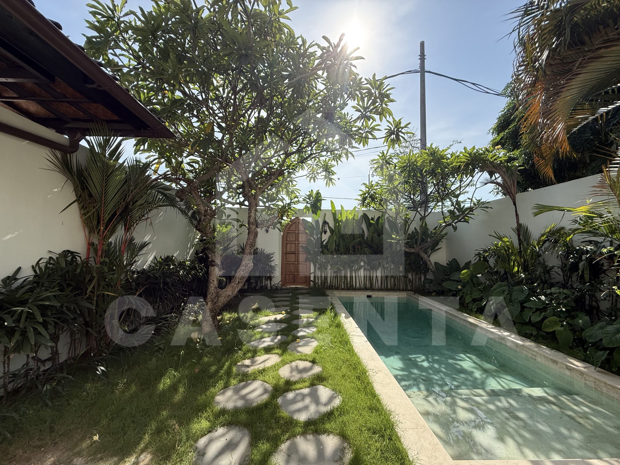 Private pool and tropical garden at modern sanur villa