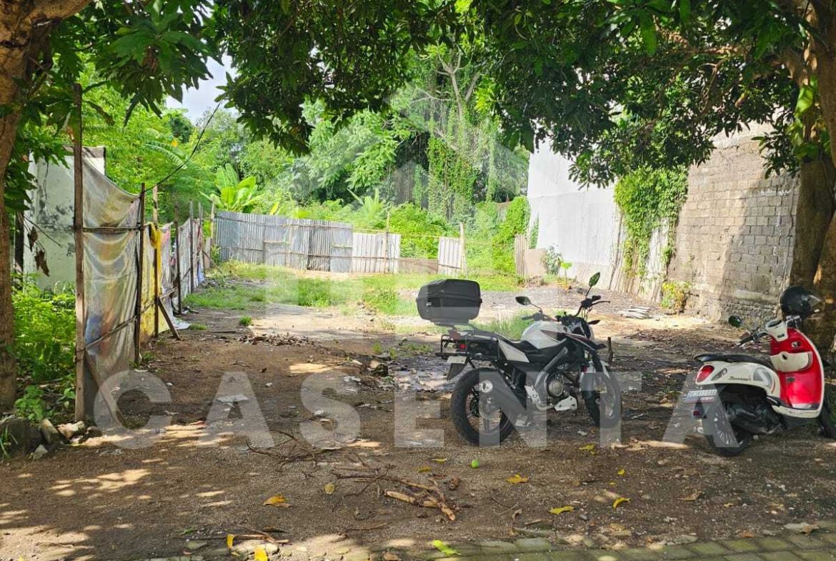 Flat commercial Sanur land plot with mature trees and development surroundings