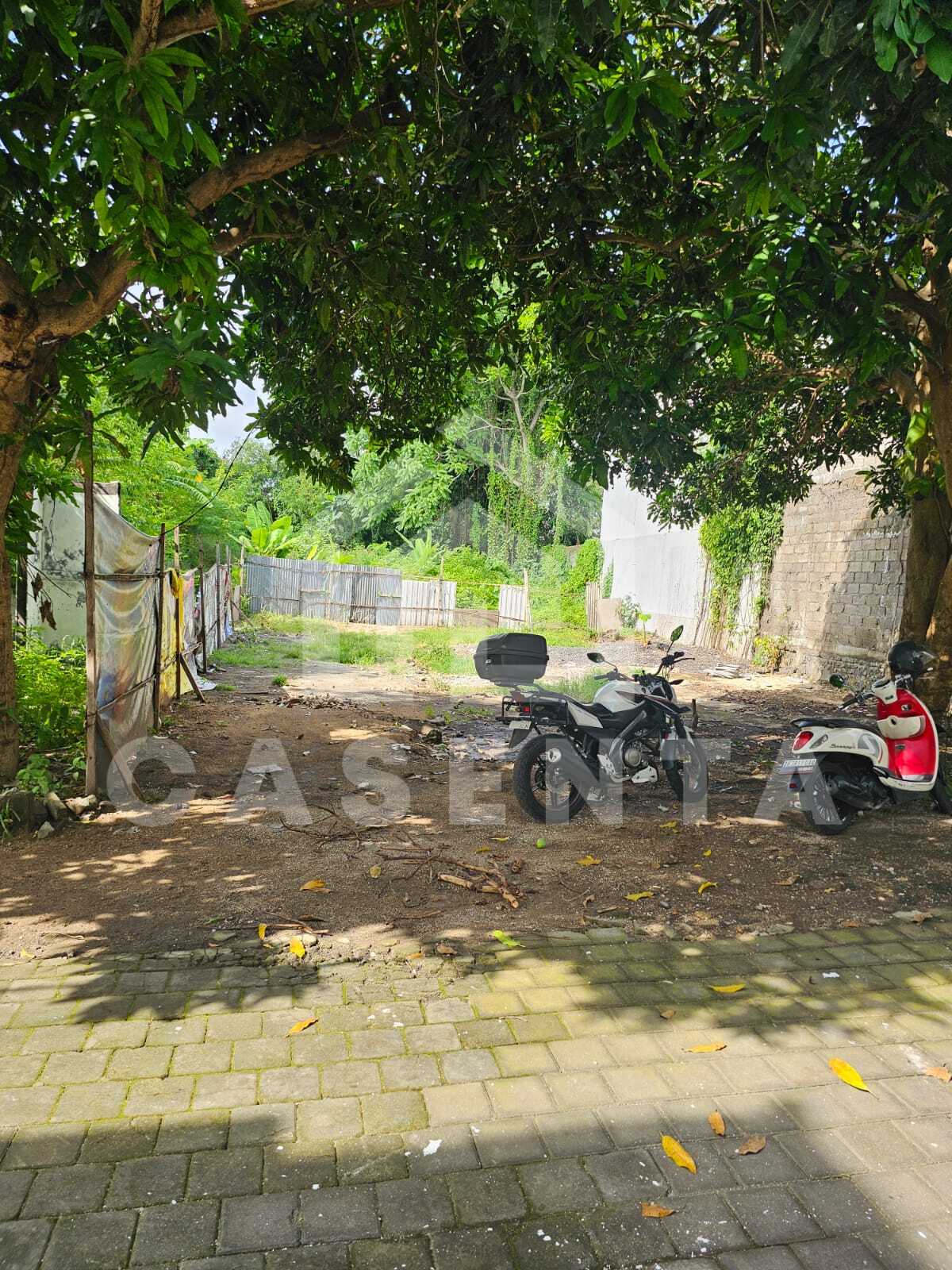 Flat commercial Sanur land plot with mature trees and development surroundings