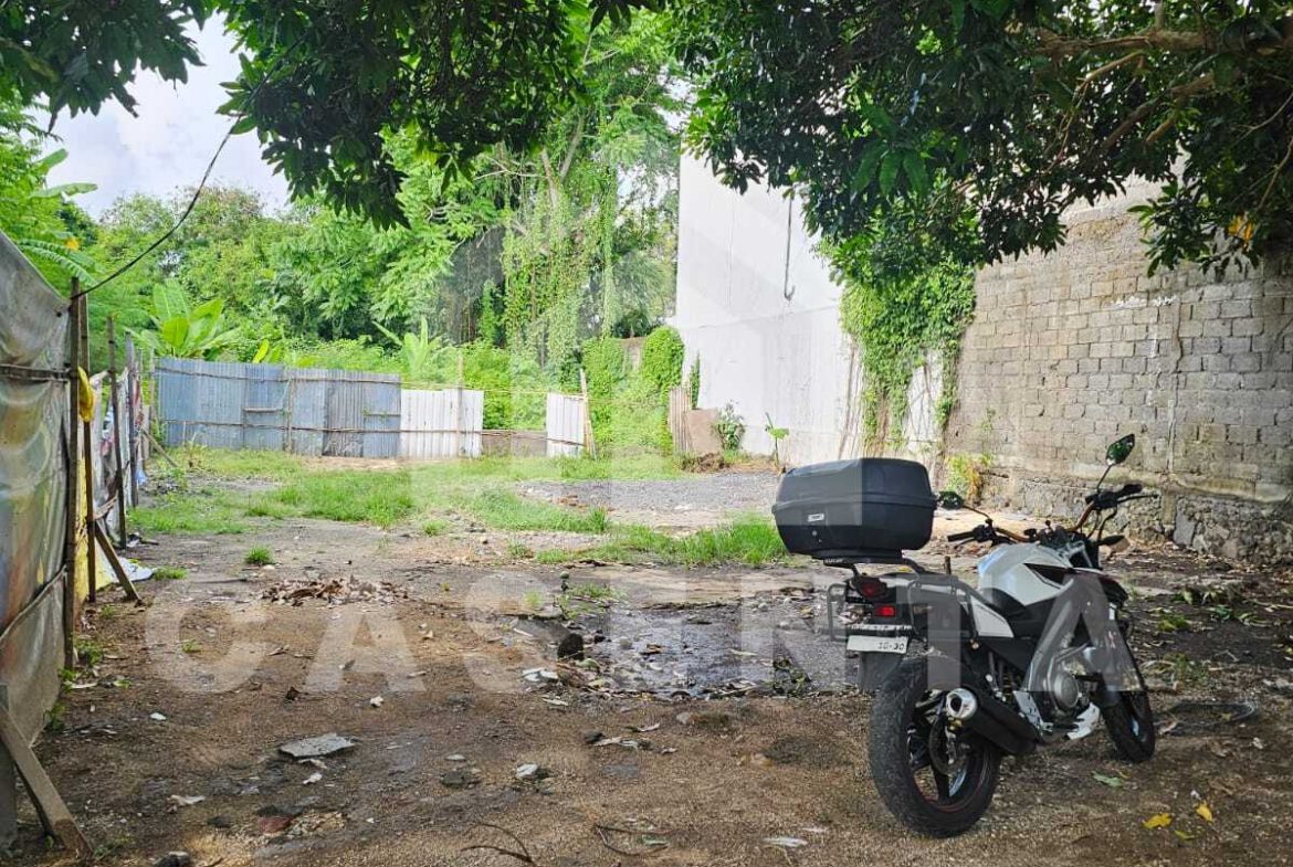 Sanur land plot with rectangular layout and shaded tropical setting