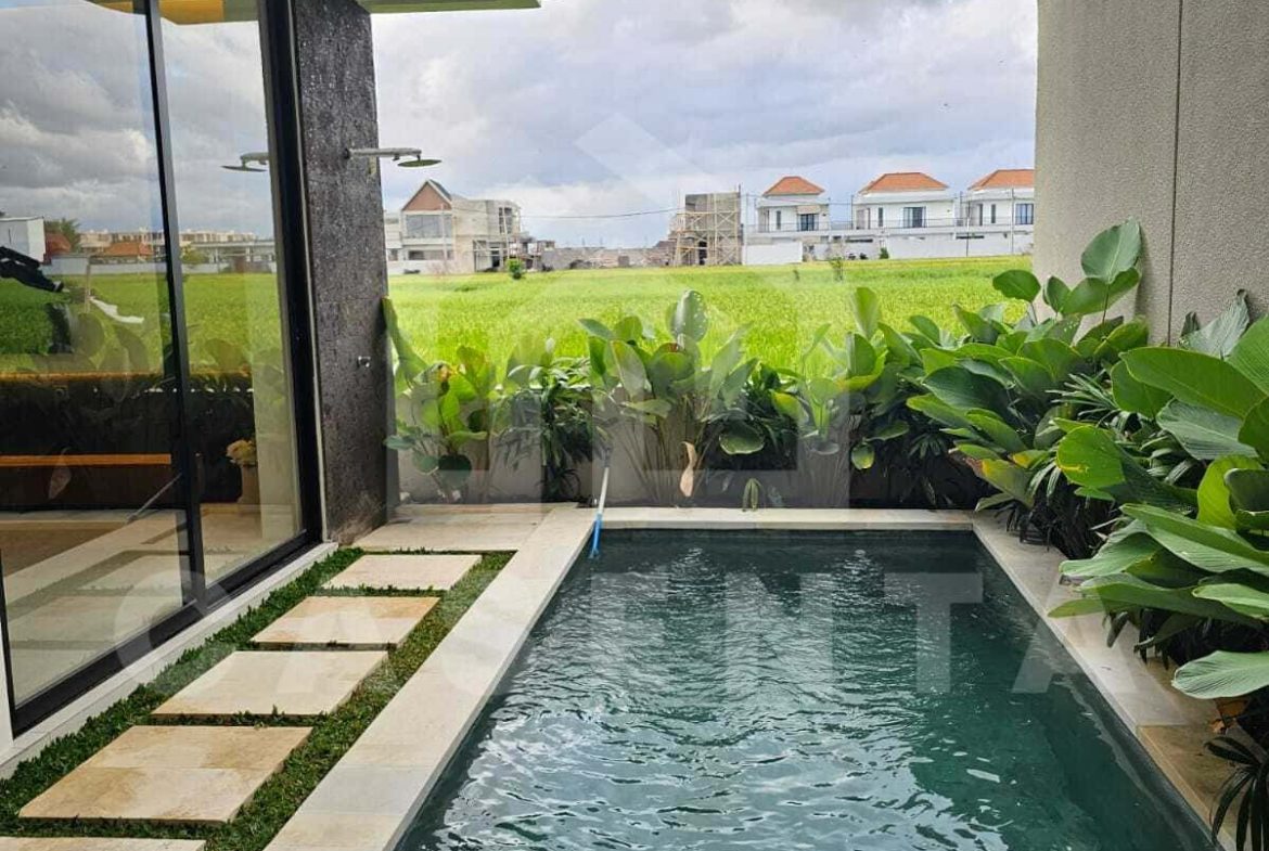 Private swimming pool with rice field view cemagi villa
