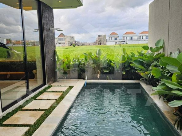 Private swimming pool with rice field view cemagi villa