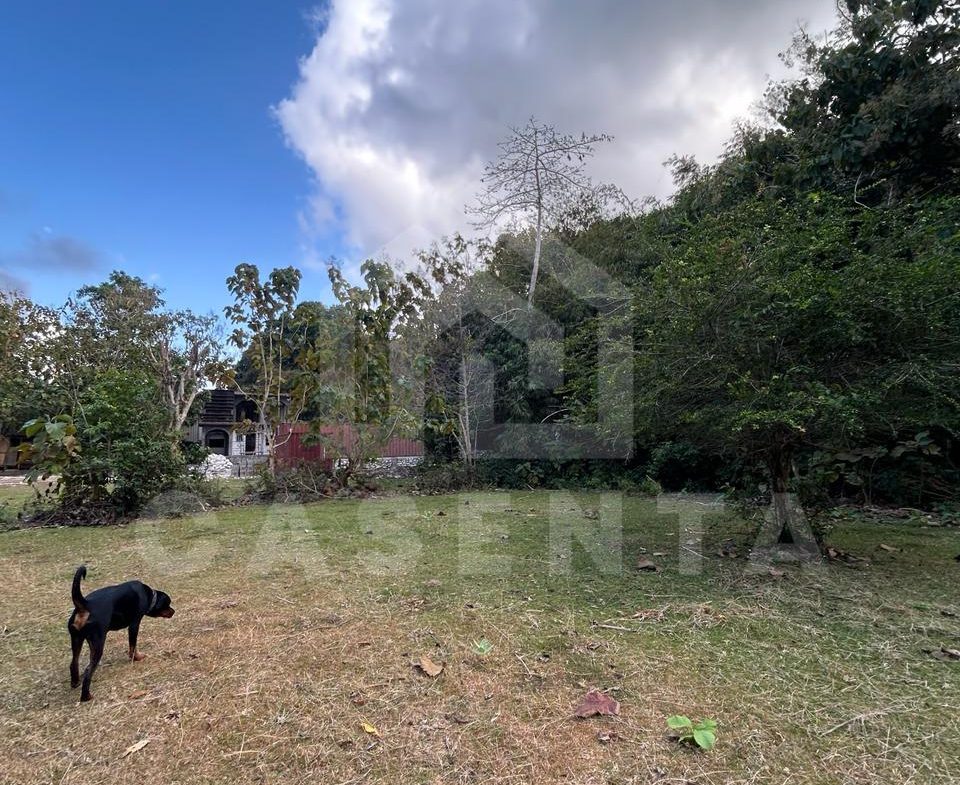 Ungasan land plot with open space and natural surroundings