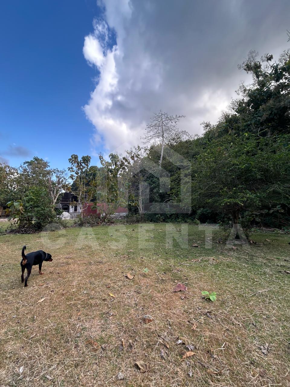 Ungasan land plot with open space and natural surroundings