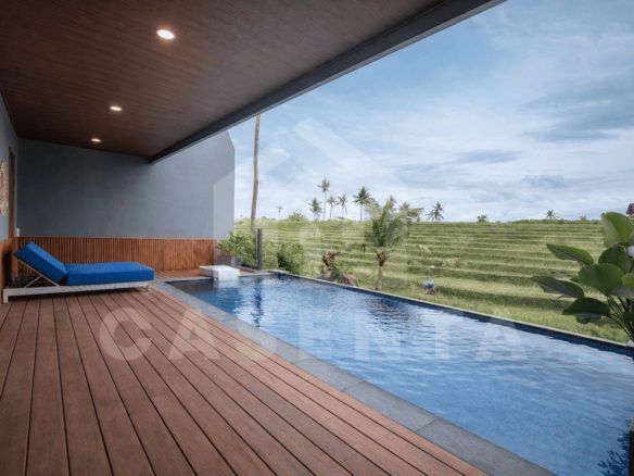 Infinity pool with ricefield view in Pererenan villa