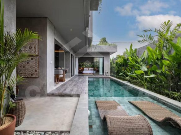 private pool area in Bukit villa with sun loungers